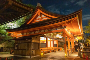 Fototapeta na wymiar 京都・清水寺