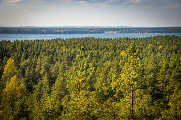 Fototapeta na wymiar view from obersvation tower, latvia, usma lake, baltic countries, baltics, europe,