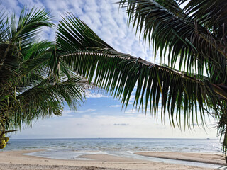 beautiful golden sand beach sunrise fresh sea breeze summer vacation with green coconut leaves tree. blue sky and warm sun light