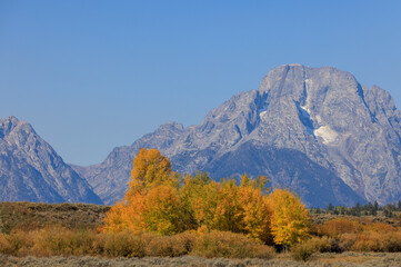 Scenic Autumn Landscape in Grand Teton National Park Wyoming