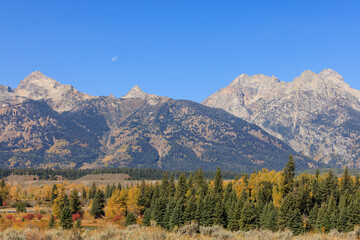 Scenic Autumn Landscape in Grand Teton National Park Wyoming