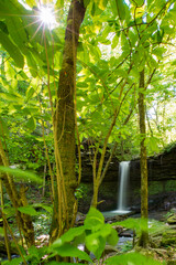 Pack_Rat_Falls_Hagarville_052017_CHC_2554