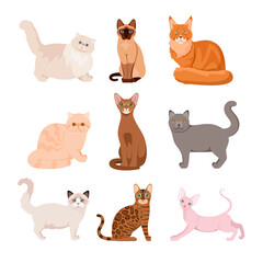A set of purebred cats on a white background. Cartoon design.
