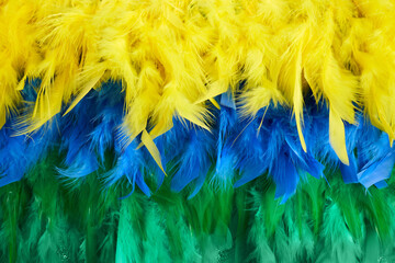 Brazilian background from feathers in the Brazilian ethnic color. Rio carnival, mardi gras...