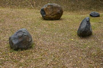 Large stones in the middle of the meadow in the garden which adds to the beauty.