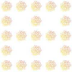 vector graphic background with echeveria plant