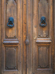Old wooden door with old lion head knockers