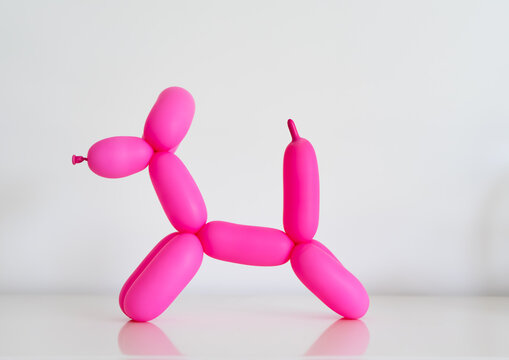 Pink Dog Balloon With Copy Space