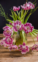 Blumenstrauß mit verblühten Tulpen, Blumen im Frühling