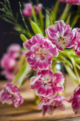 Fototapeta na wymiar Blumenstrauß mit verblühten Tulpen, Blumen im Frühling