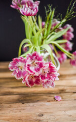 Blumenstrauß mit verblühten Tulpen, Blumen im Frühling