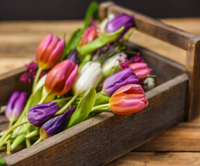 Bunte Tulpen in Holzkiste, farbenfrohe Frühblüher, Blumen im Frühling