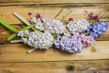Fototapeta na wymiar Hyazinthen auf Holz, Frühling Blumen dekorieren