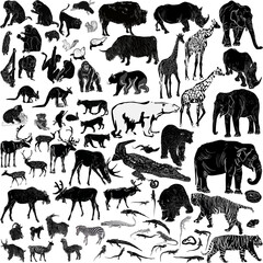 large set of animals black isolated silhouettes