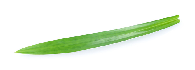 Fototapeta premium Pandan isolated on white background