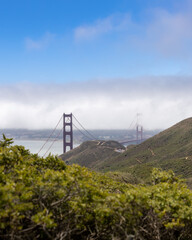 The Golden Gate Bridge with haze and fog in the Bay, seen through trees and foliage. (selective...