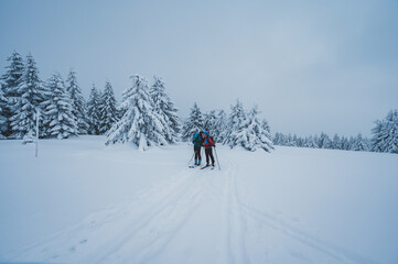 Mountaineer backcountry ski walking ski alpinist in the mountains. Ski touring in alpine landscape...