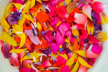 Colorful flower petals