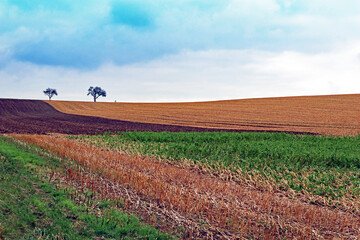 Farbige Landschaftsflächen