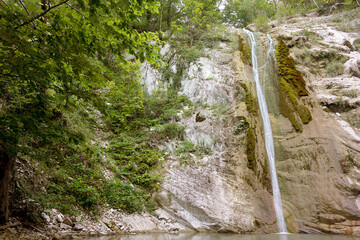 Beautiful small waterfall, mountain river, dense green forest.