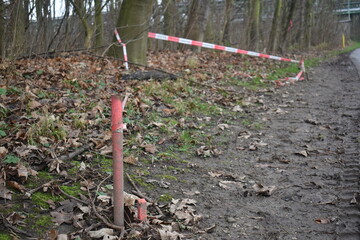 protection tape in the woods