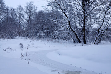 Fototapeta premium A frozen, ice-covered stream in a winter forest. Footprints on an icy stream.