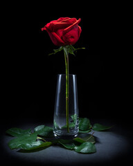 Rosa en florero