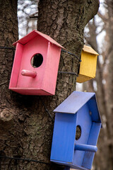 decorative bird house