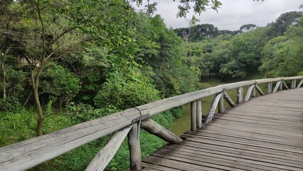 Obraz premium path with wooden bridge in the middle of the woods