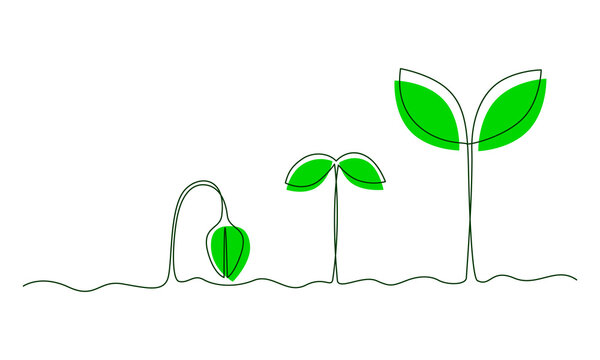 green sprout growth stages line art clip art preview