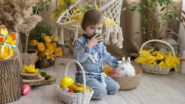 Beautiful little girl is playing with a live rabbit and colorful Easter eggs