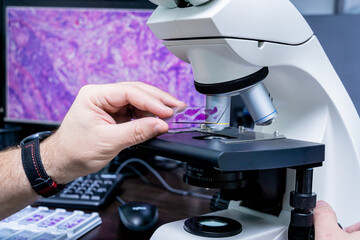 Laboratory assistant works with microscope at the modern laboratory.