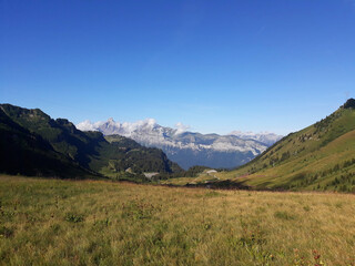 Paysage alpin entre prairie et neiges éternelles