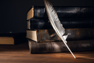 Feather with books over wooden desk