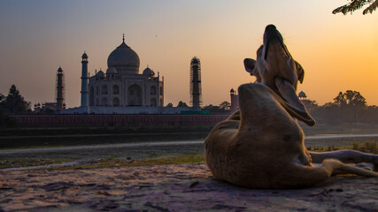 Indien