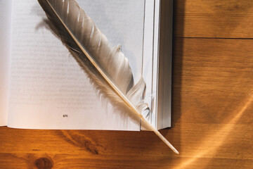 Feather with books on the wooden table