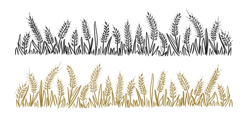Foto op Plexiglas Wild ears of wheat andherb, grass.Cereal corn hand made.Vector illustration.Brown and black lines on a white background.Isolated hand drawn pictures.Rye drawn in one line for the frame © BigJoy