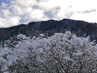 scenico panorama dolomitico immerso nella neve