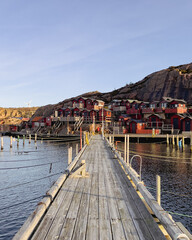 wooden bridge over the lake