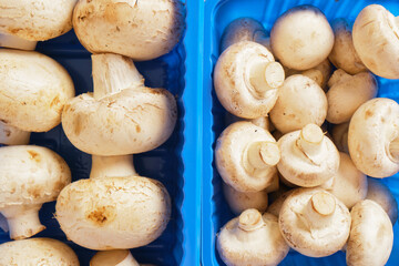 Fresh champignons in plastic packaging close up
