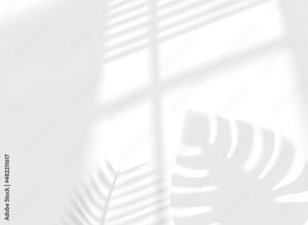 Poster Sun light via the window. Shadow effect with blindes and plants in perspective. Shadow overlay isolated on white background
