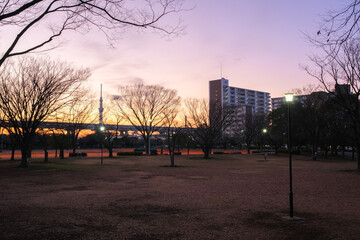 Obraz premium 東京都葛飾区 夕暮れの新小岩公園