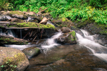 Obraz premium waterfall in the forest