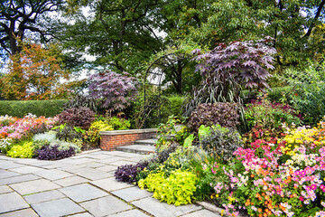 flowers in the garden