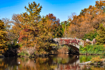 autumn in the park