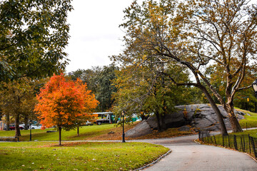 park in autumn