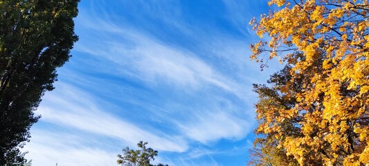 The last warm days. Autumn sky High quality