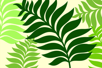 Fototapeta na wymiar foliage fern
