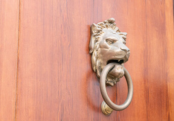 Bronze knocker in the shape of a lion's head.