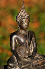 Faith and religion. Buddhism.